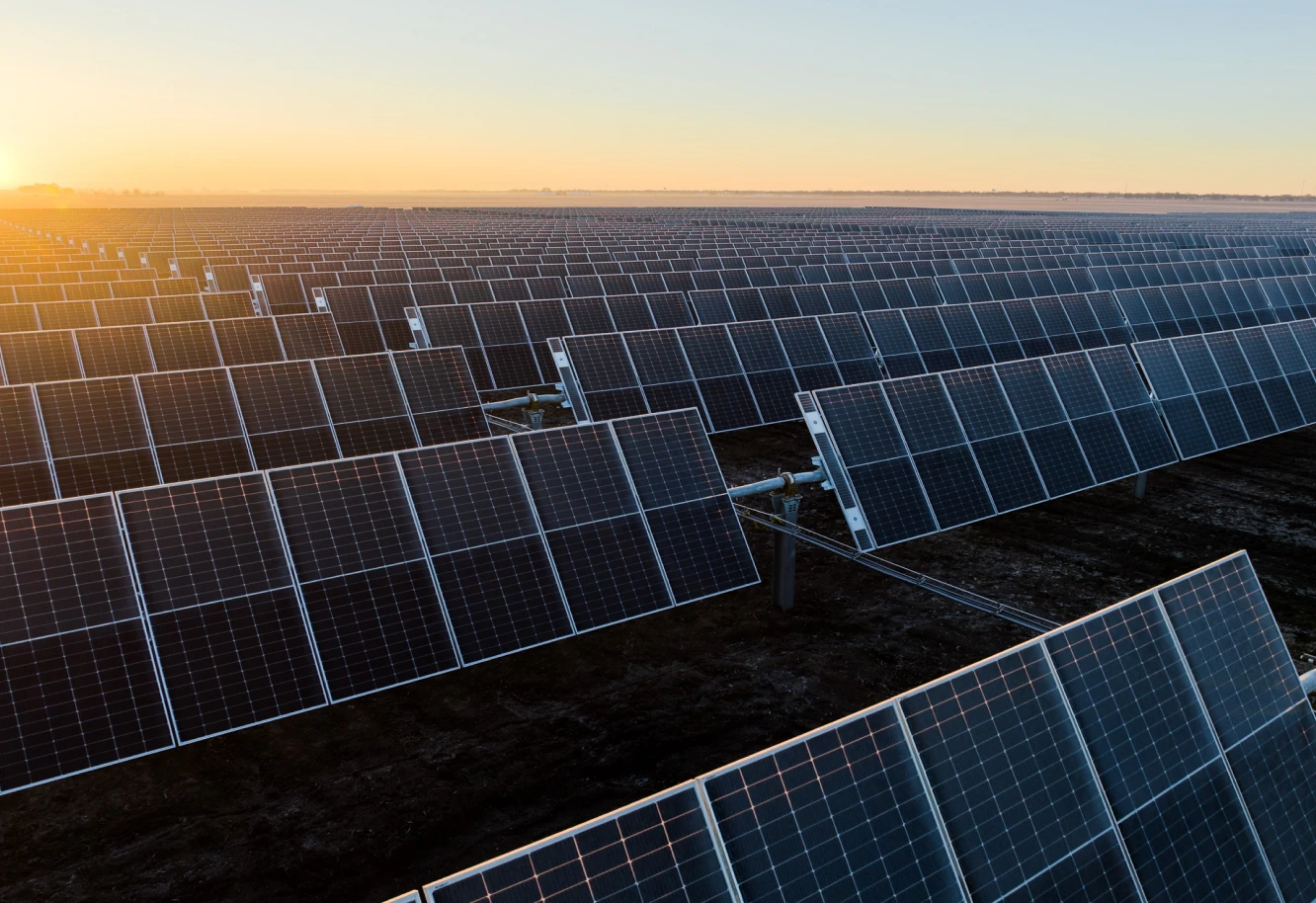 Rows of solar panels stretch across a field at sunrise, capturing renewable energy. The expansive view conveys a sense of innovation and sustainability.
