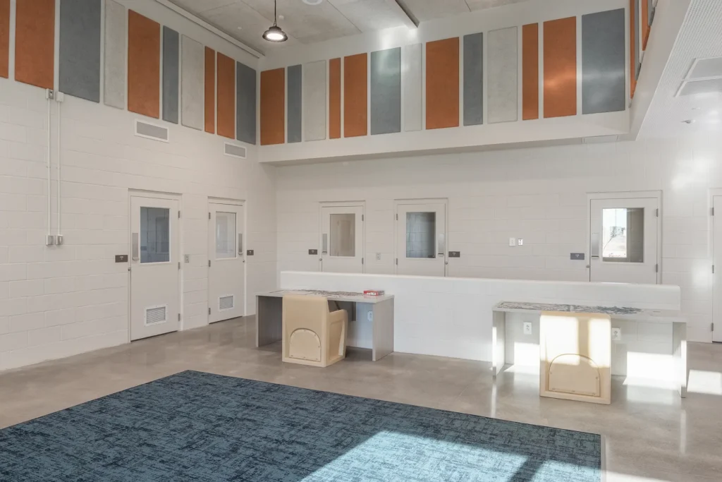 A brightly lit room with white walls, colorful vertical panels, and multiple doors. Two desks with cushioned chairs and a blue rug create a modern, clean look.
