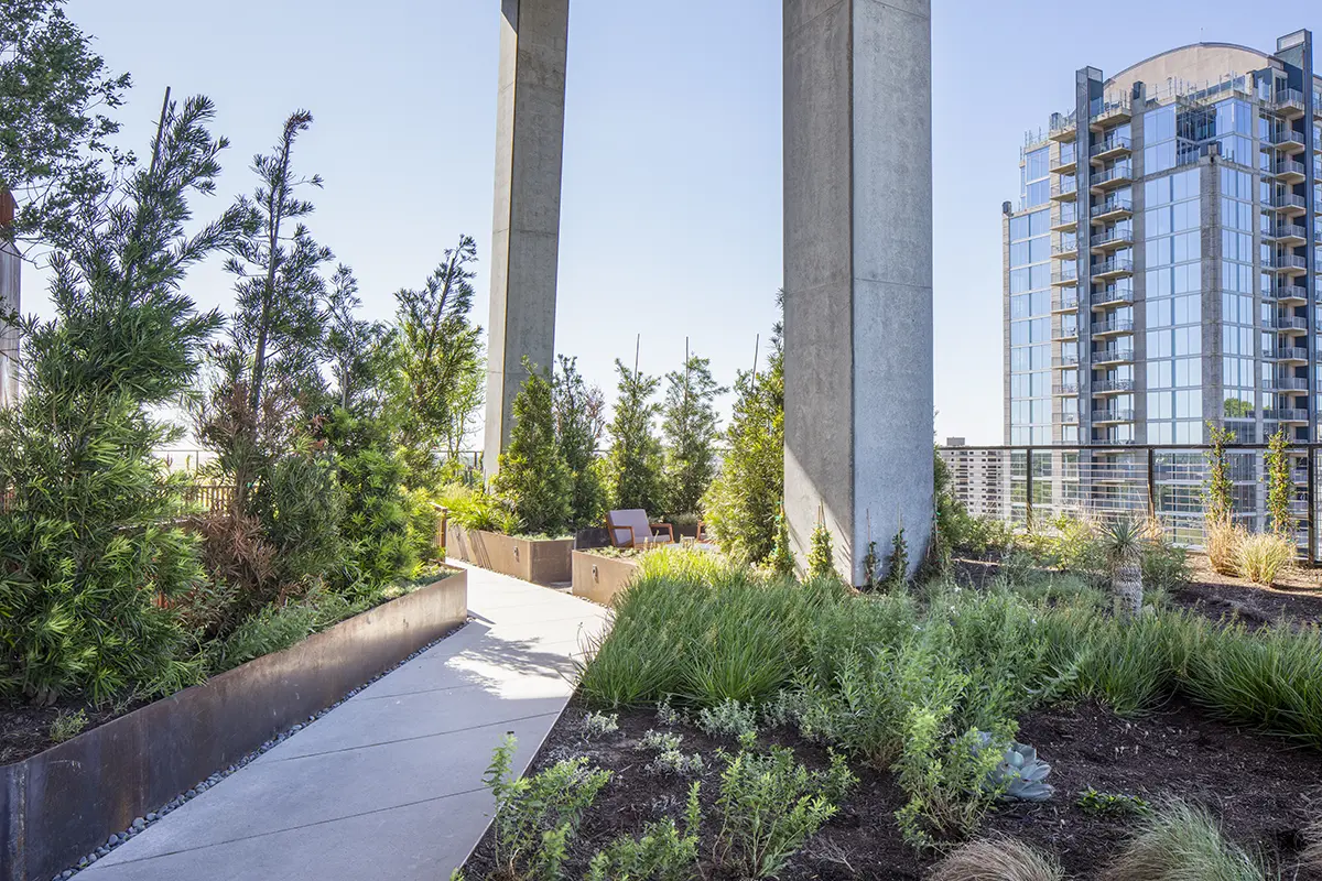 Rooftop garden with lush greenery, concrete pathways, and tall buildings in the background, creating a serene urban oasis under clear skies.