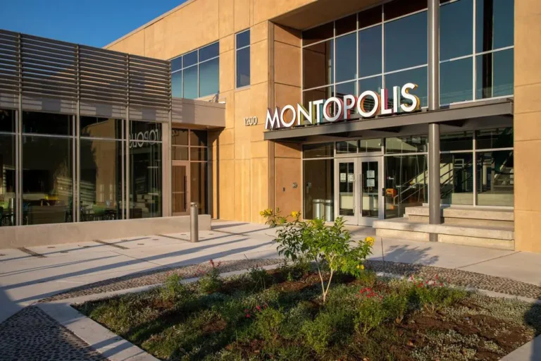 Entrance of a modern building labeled "MONTOPOLIS" with large glass windows. A small garden with plants and flowers is in the foreground, under clear skies.