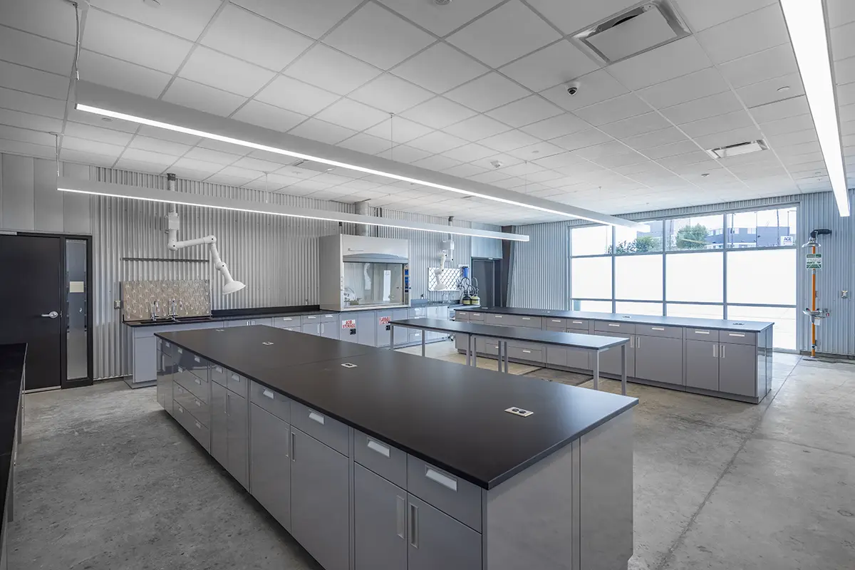 Spacious, modern laboratory with sleek gray counters, bright overhead lighting, and large windows providing natural light. Organized and sterile environment.