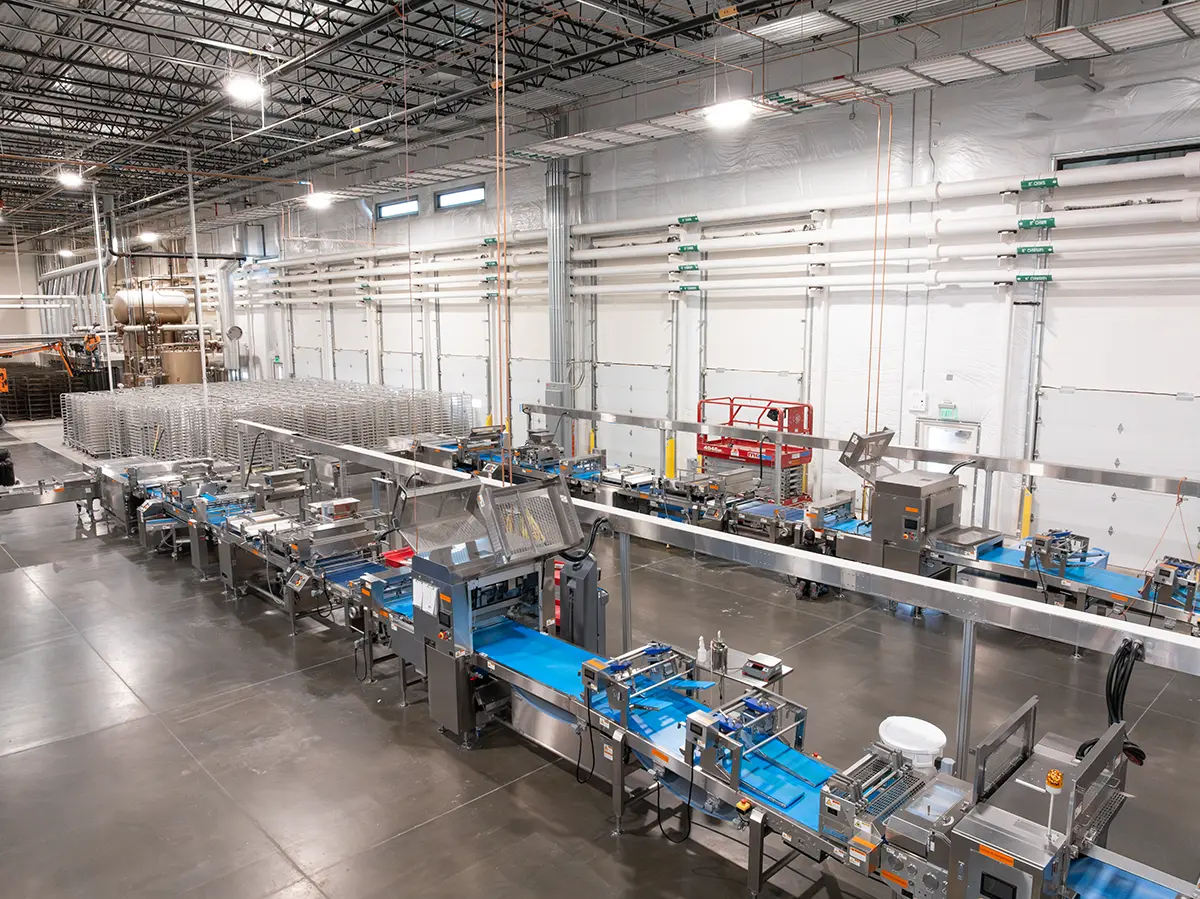 A spacious, well-lit factory interior with automated conveyor belts and industrial machinery. The setting is clean, modern, and organized.