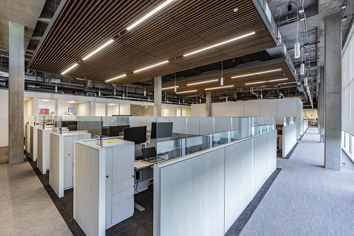 Modern office interior featuring rows of open white workstations with computers, under a ceiling with wooden slats, creating a sleek and organized atmosphere.