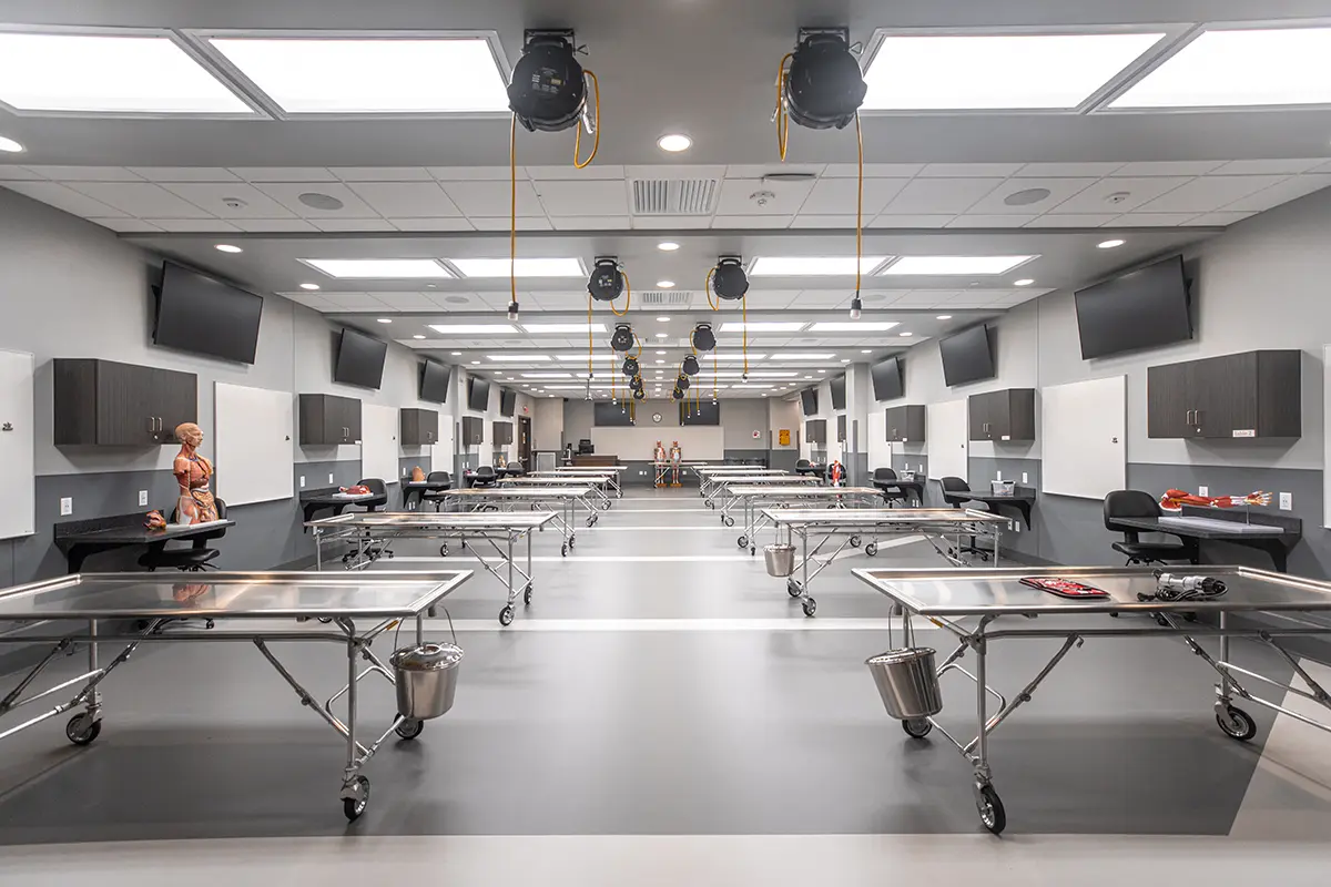 Modern anatomy lab with stainless steel tables, overhead lights, and anatomical models on the left. The room is well-lit and organized.
