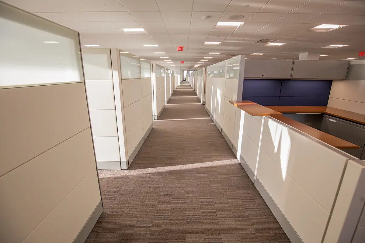 Pasillo luminoso de oficinas con cubículos beige y paneles azules, con iluminación cenital y suelo enmoquetado, que transmite la sensación de un espacio de trabajo limpio y tranquilo.
