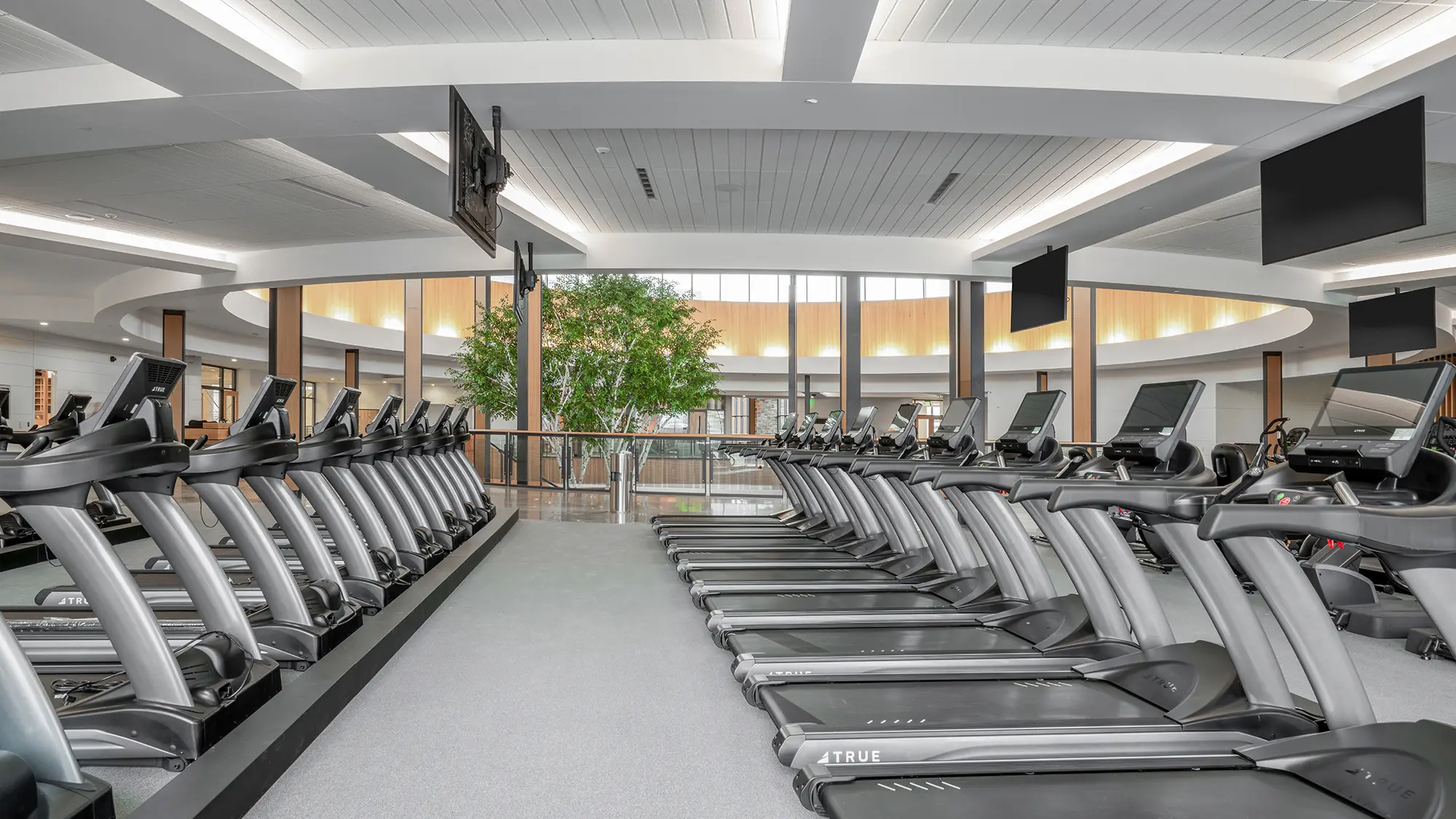 A spacious, modern gym with rows of treadmills facing large glass windows; natural light and greenery create an inviting, energetic atmosphere.
