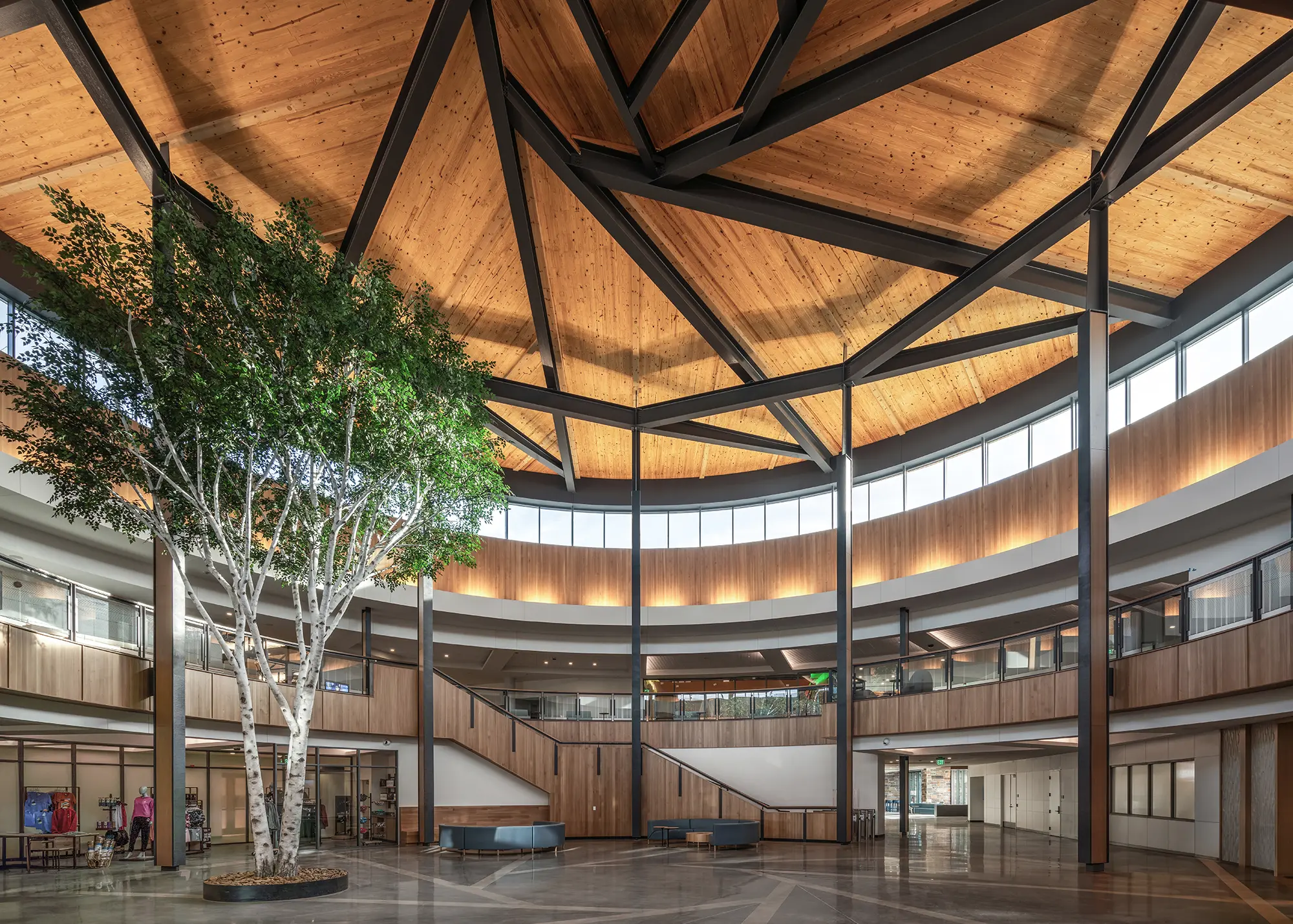 Spacious atrium with a warm wooden ceiling and large skylight. A birch tree stands centrally with natural light and modern architecture. Calm ambiance.